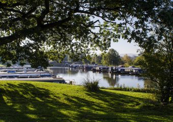 Reedley Marina