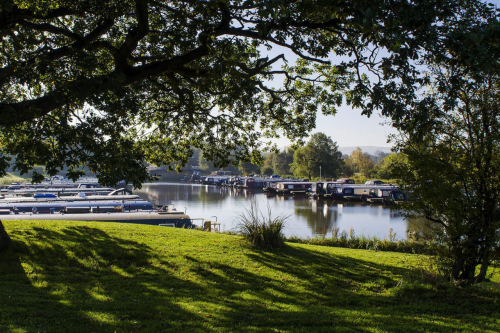 Reedley Marina